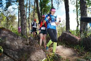 BIB: 
                            <button type="button" onclick="openModal(18916804)" class="btn btn-primary btn-sm float-right btn-popup" data-toggle="modal" data-target=".modal-high-quality">
                        <i class="fas fa-shopping-cart"></i> Add to Cart
                    </button>
                                            <button type="button" onclick="isThisMe(18916804, true)" class="btn btn-success btn-sm float-right btn-popup btn-isme hidden" data-toggle="tooltip" data-placement="bottom" title="นี่คือรูปของคุณใช่ไหม คลิกที่นี่เพื่อเอาเข้าอัลบั้ม">
                        <i class="fas fa-plus"></i> Add to album
                    </button>
                    <button type="button" onclick="isThisMe(18916804, false)" class="btn btn-warning btn-sm float-right btn-popup btn-isnotme hidden">
                        <i class="fas fa-ban"></i> Remove from album
                    </button>